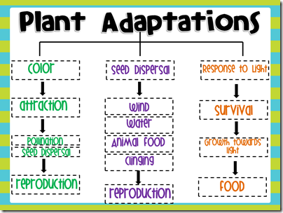 Slide2
